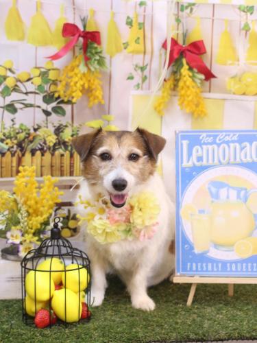 20240416こはるちゃん